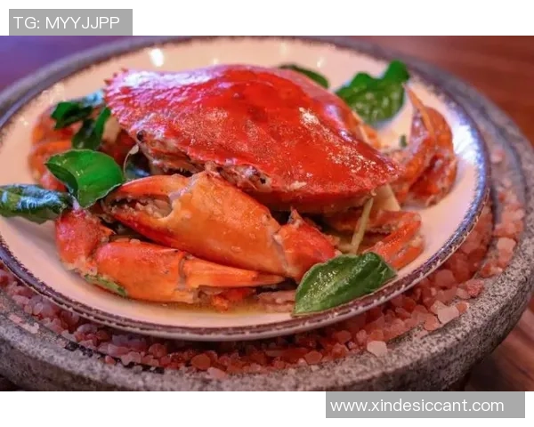 苏格兰奥本盛况空前世界扇贝大赛吸引全球美食爱好者齐聚一堂